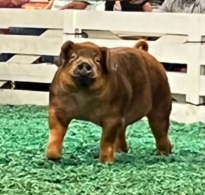 Donnie Ray Donnie Ray