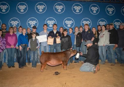 Dam of Donnie Ray Dam of Donnie Ray